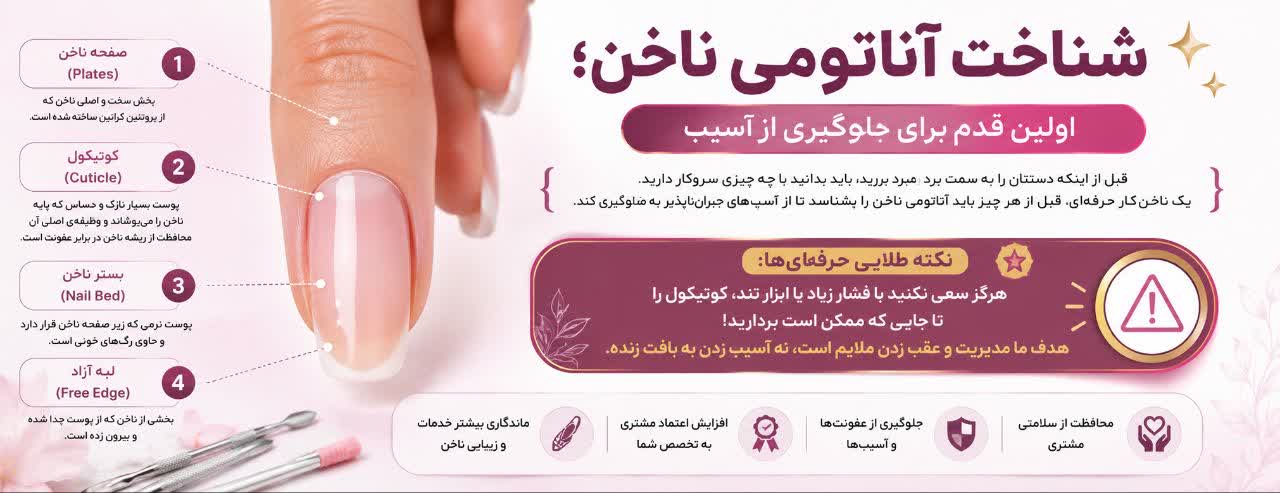 شناخت آناتومی ناخن؛ اولین قدم برای جلوگیری از آسیب